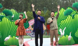 阿毛王者爆料最新消息视频,揭秘视频背后的惊人真相！