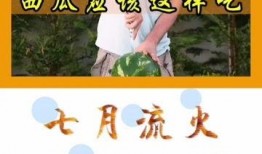 认真吃瓜小说免费阅读全文,揭秘免费阅读背后的真相